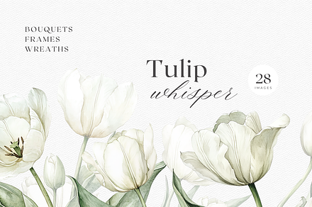 Tulip Whisper - Watercolor Clipart, an Illustration by ThaismotaCreativeCo