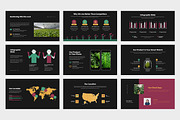 Baera : Nature Powerpoint, a Presentation Template by Punkl Camp (Thumbnail 8 of 9)