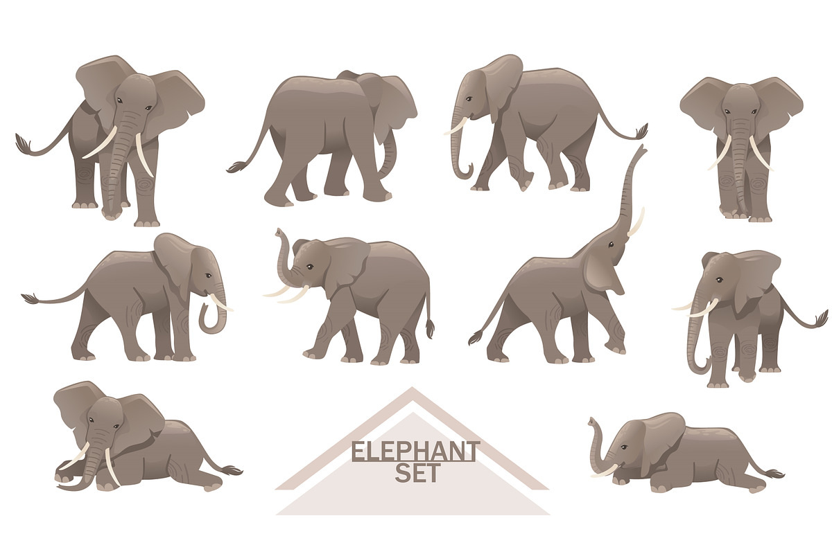 Set of big gray african elephants, an Animal Illustration by Alfmaler