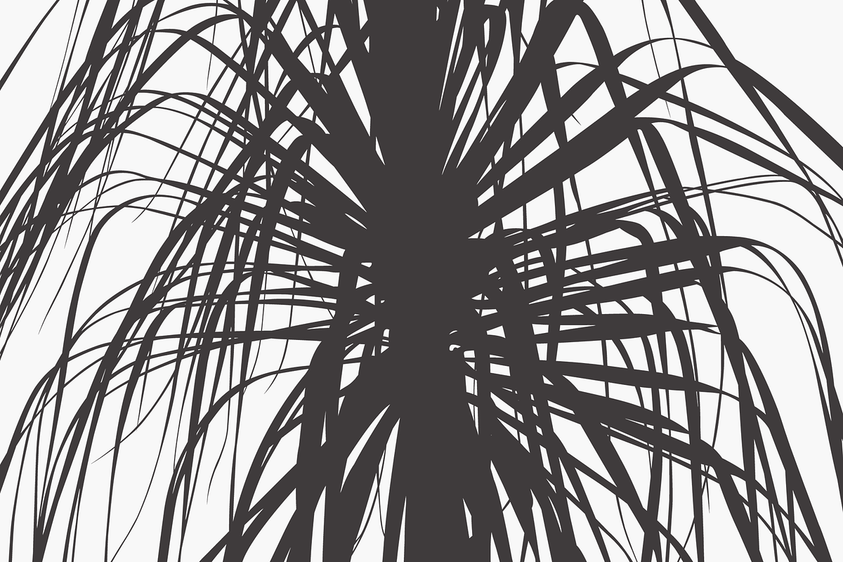 Herbarium: Set 1, a Decorative Illustration by Texture Fabrik (Photo 13 of 19)