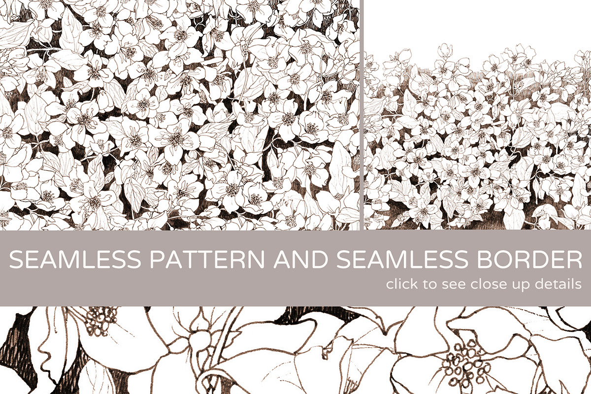 Jasmine, a Pattern Graphic by julianaapina (Photo 2 of 5)