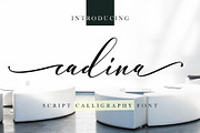 cadina script calligraphy, a Script Font by Sulthan Studio (Thumbnail 1 of 6)