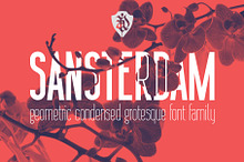 Sansterdam Bold and Thin