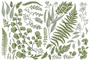 Botanical cards. Set with leaves., a Graphic by Lisla (Thumbnail 3 of 4)