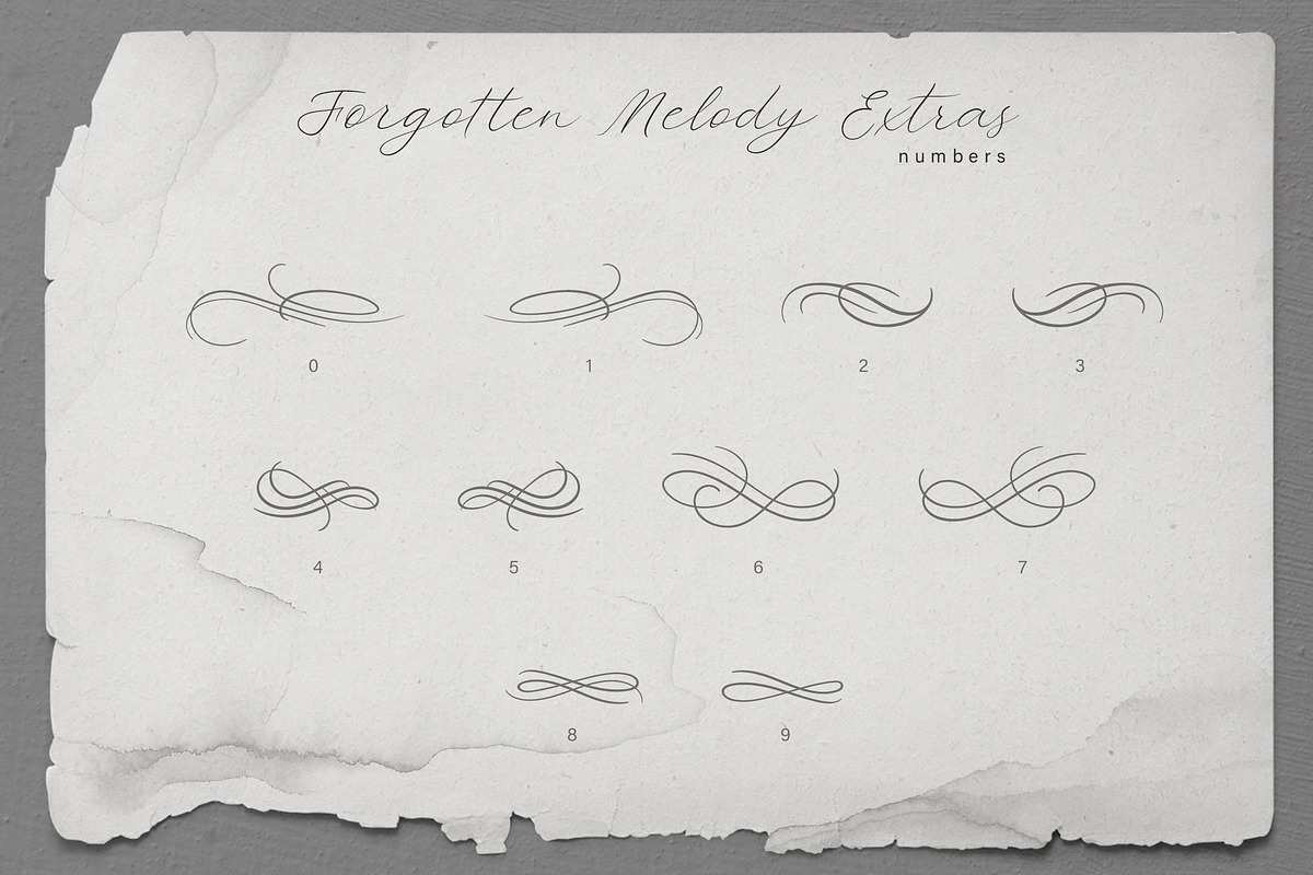 Forgotten Melody Font + EXTRAS, a Script Font by AnMark (Photo 11 of 14)