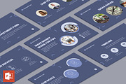 Presentation Investment Fund, a Presentation Template by TemplatesNow! (Thumbnail 1 of 14)