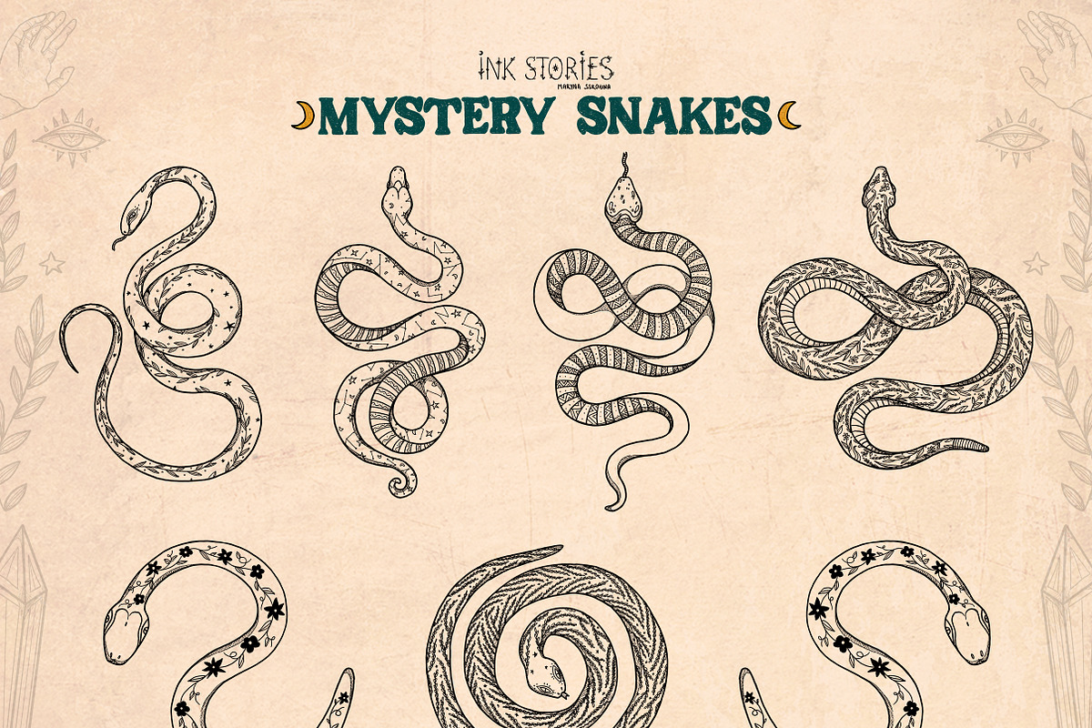 Mystery Snakes, an Animal Illustration by Ink Stories (Photo 5 of 31)