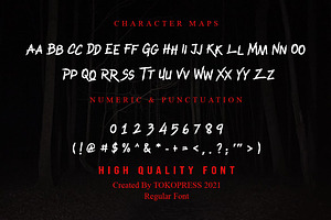 RAIDEN KING - Brush Font