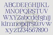 Armeston - Modern Serif, a Serif Font by tebaltipislab (Thumbnail 3 of 15)