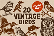 20 Vintage Birds Vector Graphics, a Graphic by Vectorian (Thumbnail 1 of 4)