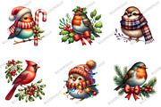 Whimsical Christmas Birds Clipart, an Illustration by designcity5 (Thumbnail 3 of 5)
