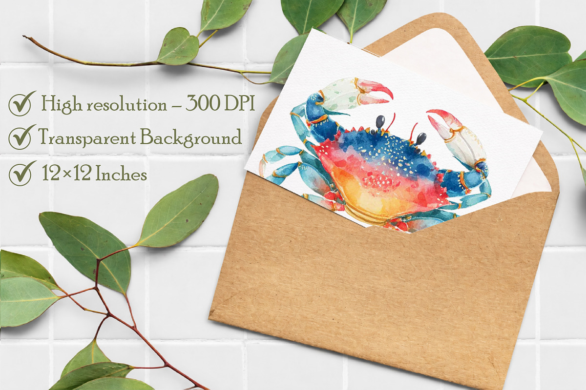 Watercolor Crab Clipart, an Illustration by Libby Wishes (Photo 7 of 7)
