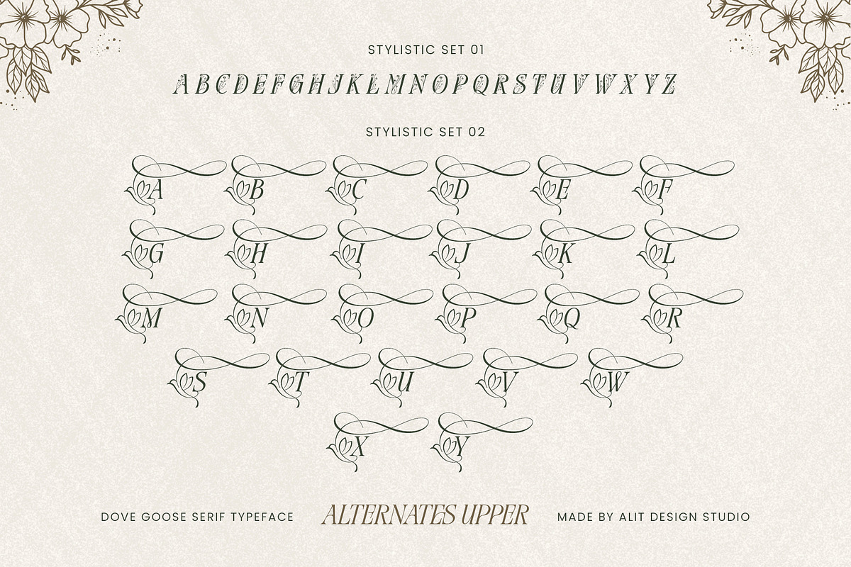 Dove and Goose Typeface, a Serif Font by alit design (Photo 8 of 20)