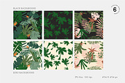TROPICAL FOREST JUNGLE LEAVES, an Illustration by All This Concept (Thumbnail 8 of 10)