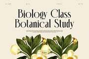 Konnega Modern Serif Font, a Serif Font by Perfectype (Thumbnail 3 of 9)