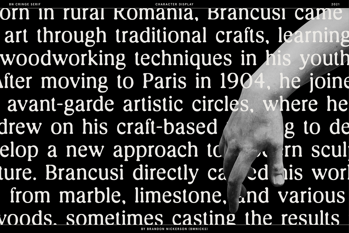 Cringe Serif, a Serif Font by Bnick (Photo 7 of 13)