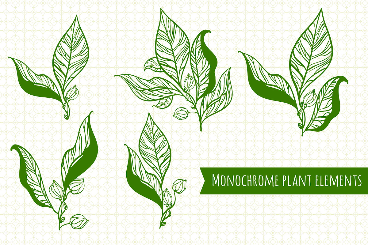 Herbal collection (+bonus), an Object Graphic by Fresh-shop (Photo 3 of 7)