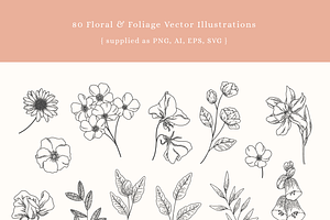 English Garden Vector Illustrations