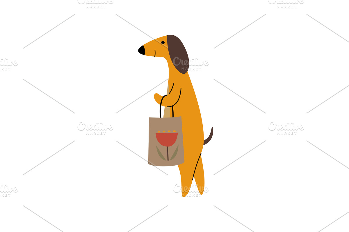 Purebred Brown Dachshund Dog with, an Animal Illustration by TopVectors
