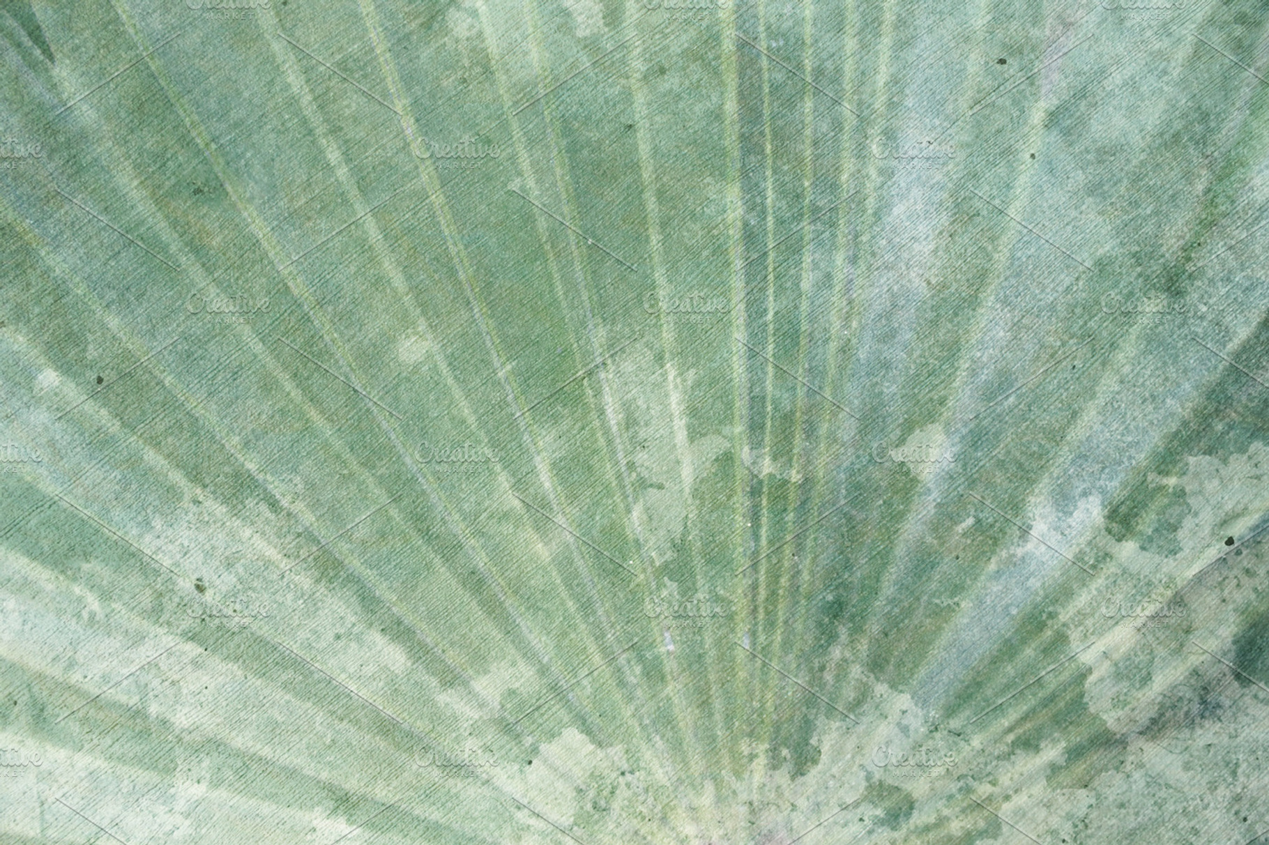 Vintage Blue/Green Palm Fan, a Nature Photo by moulder.art