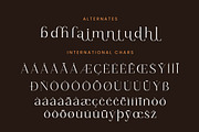 Magnetic Azuhster Minimalist Serif, a Serif Font by Letterena Studios (Thumbnail 14 of 15)