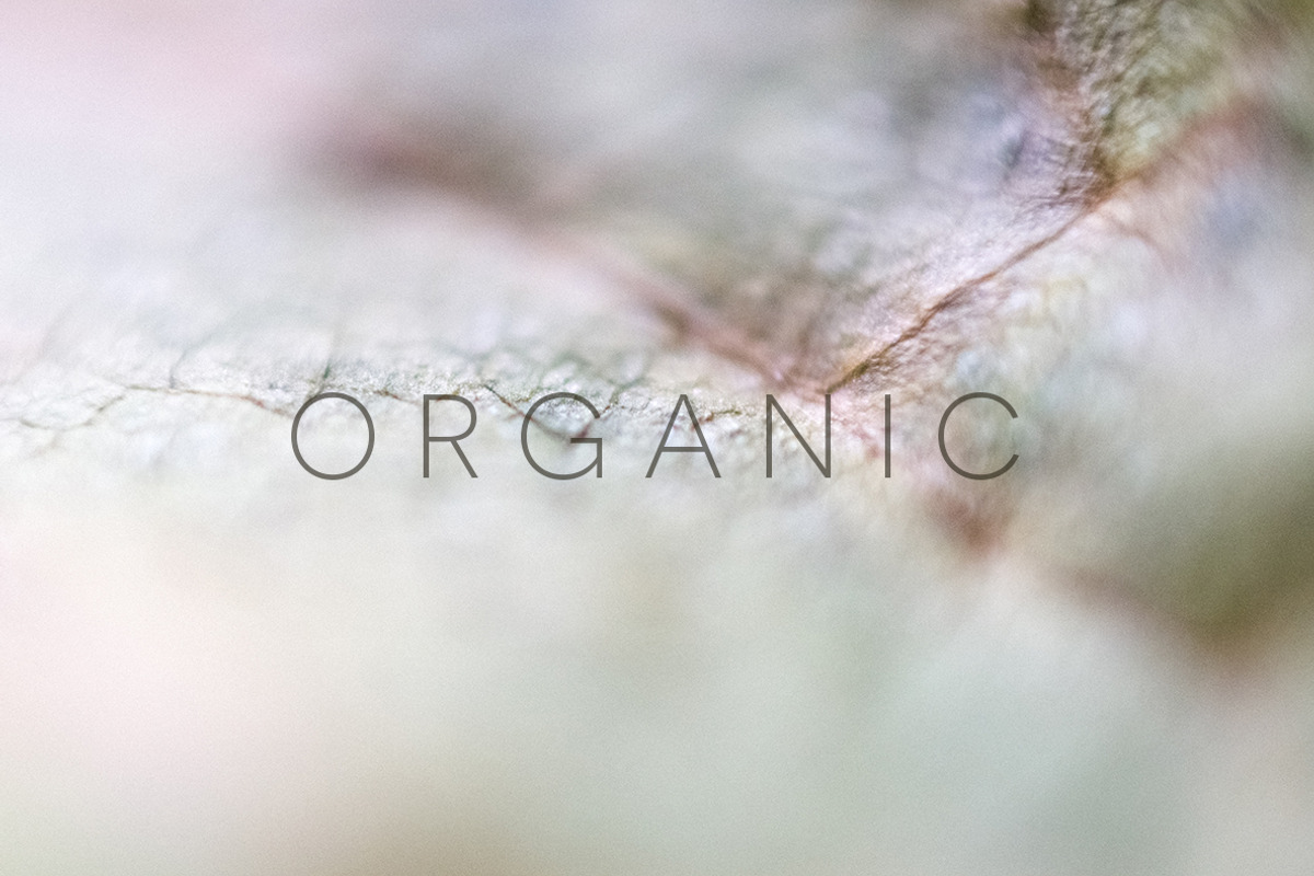 Organic | 20 Botanical Photos, a Nature Photo by Melanie Helena (Photo 3 of 20)