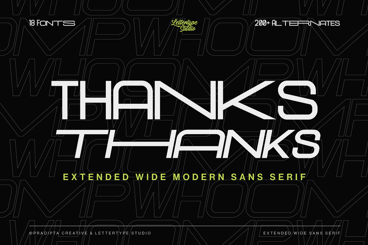 Whoomp Extended Wide Modern Typeface, a Sans Serif Font by Lettertype Studio (Photo 15 of 15)