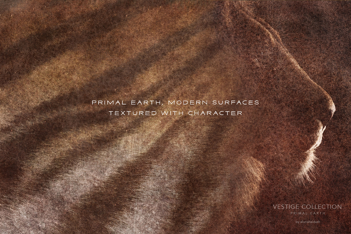 Vestige · Primal Earth Backgrounds, a Background Graphic by alonahaidash (Photo 4 of 16)