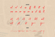 Babe Riesthy | Handwritten Casual, a Script Font by Denustudios (Thumbnail 13 of 15)