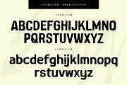 Black Thorn - Font Duo, a Script Font by Alpaprana (Thumbnail 9 of 11)