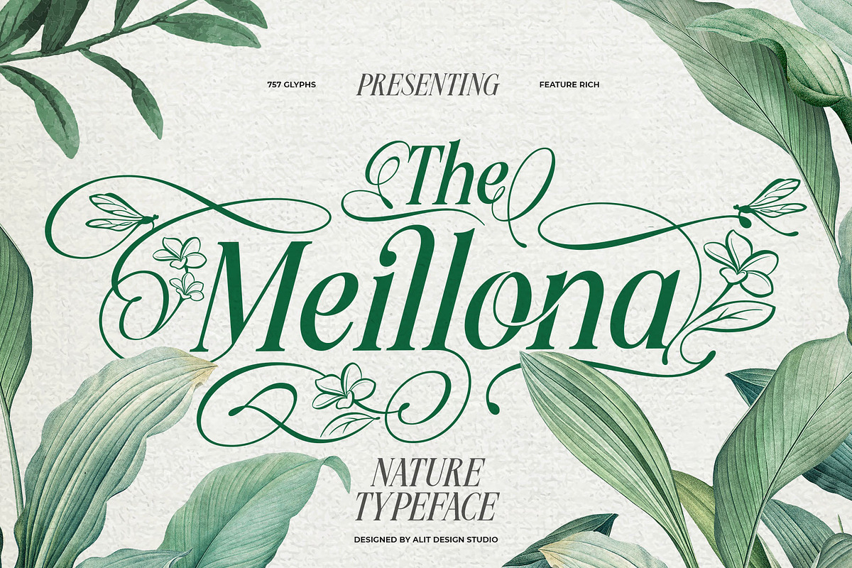 Meillona Typeface, a Serif Font by alit design (Photo 1 of 17)