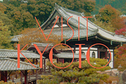 Yasashii, a Sans Serif Font by Dharma Type (Thumbnail 2 of 6)