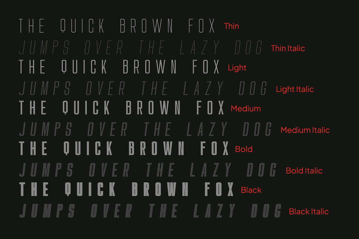 Montelisa, a Sans Serif Font by din-studio.com (Photo 10 of 15)