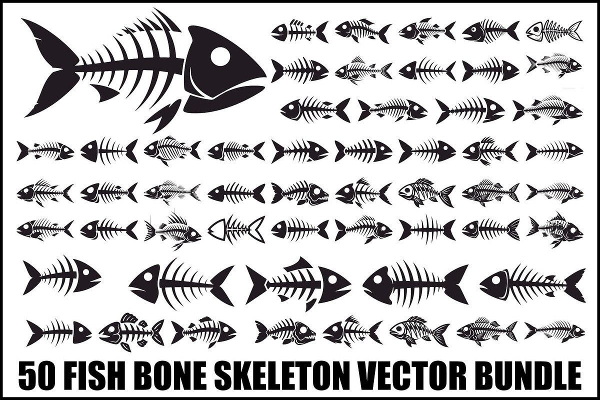 Fish Bone Skeleton Vector Bundle, an Illustration by Designs_River