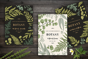 Botanical cards. Set with leaves.