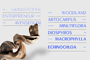 Sallona - Variable Sans Serif Font, a Sans Serif Font by MasaType (Thumbnail 3 of 10)