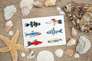 Aquarium Fishes Watercolor Clipart, an Animal Illustration by Catherine Wheel (Thumbnail 3 of 10)