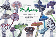 Watercolor and gouache Mushrooms, an Illustration by MariaOrtegaDigitals (Thumbnail 1 of 6)