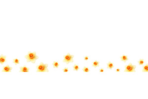 Spring floral border with daffodil, an Object Illustration by GraphiShop