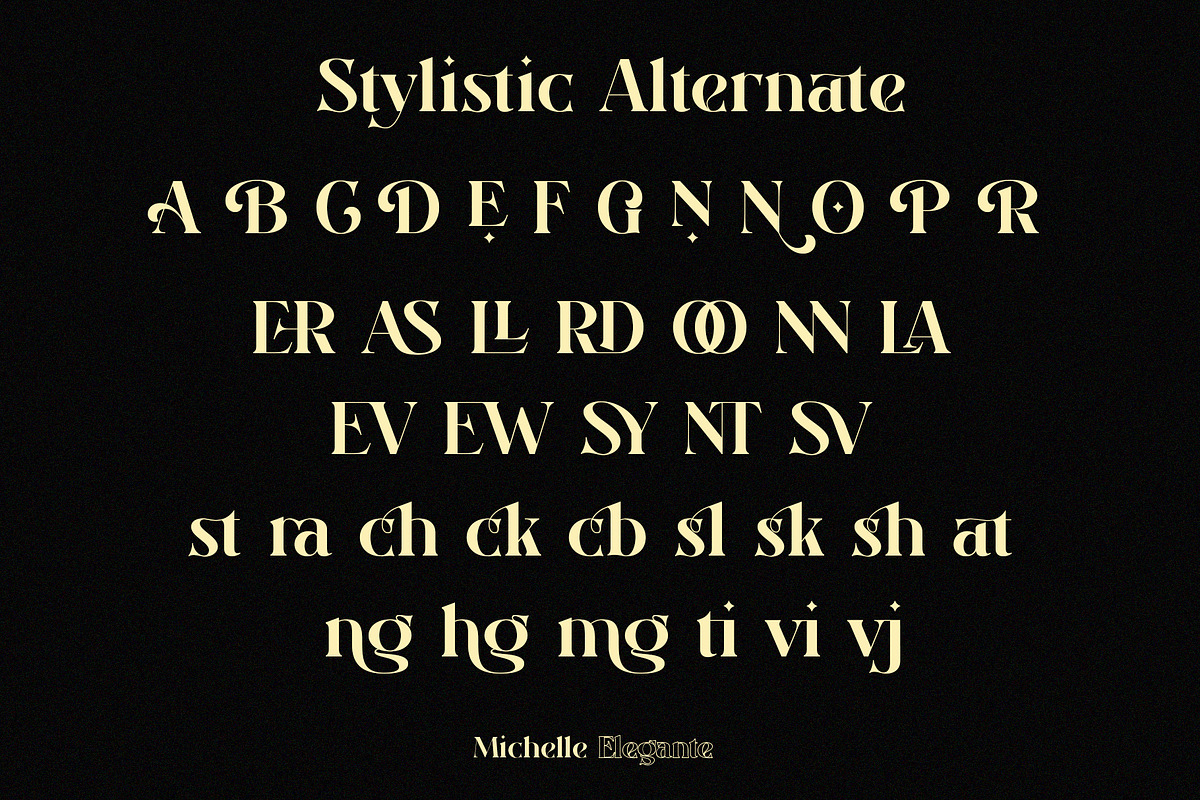 Michelle Elegante, a Serif Font by INKSUN™ (Photo 9 of 10)