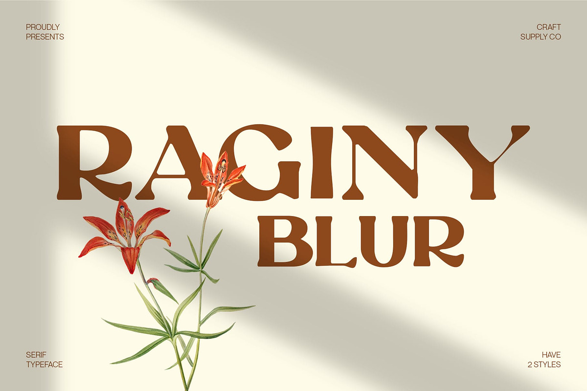 Raginy Blur, a Serif Font by Craft Supply Co. (Photo 1 of 8)