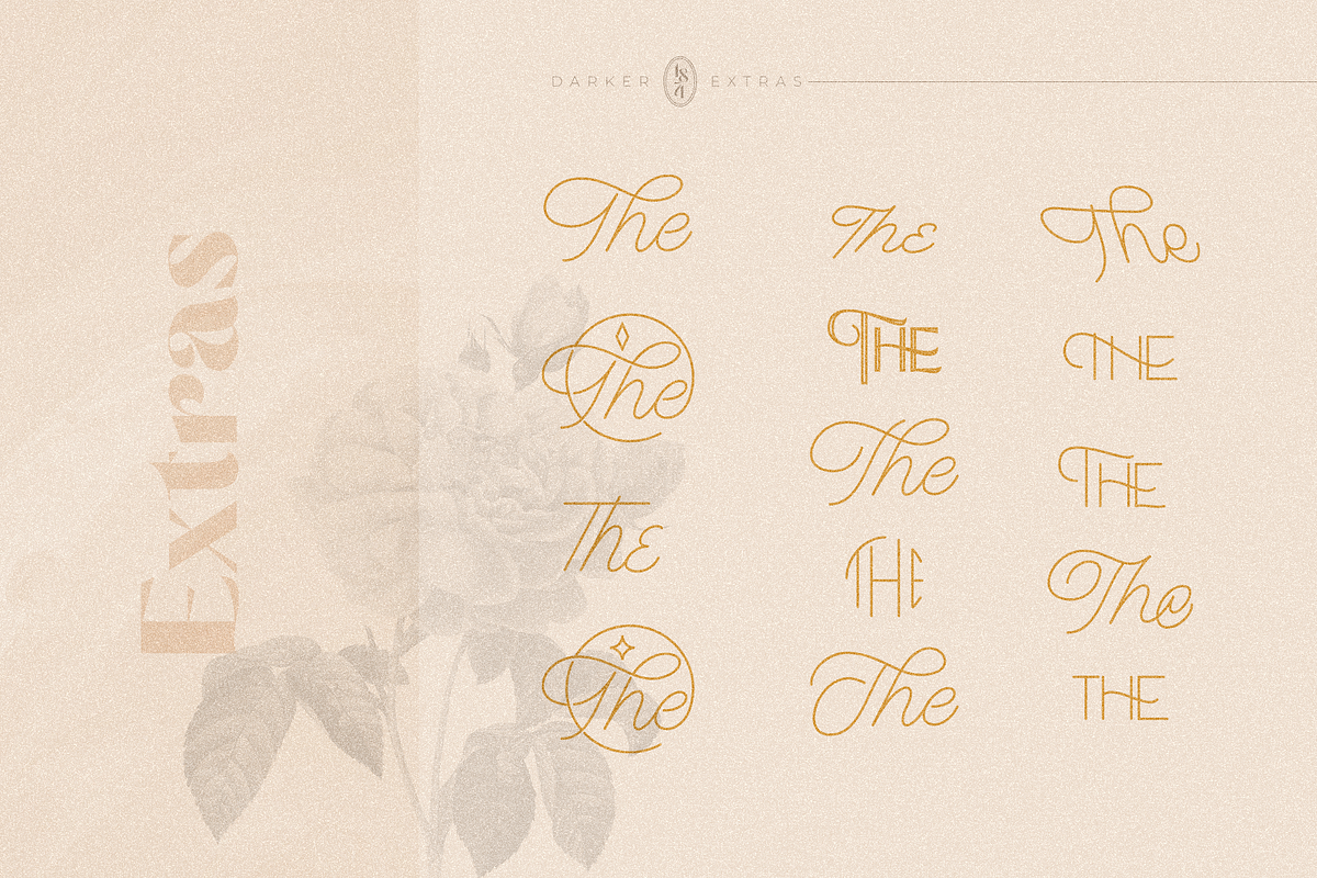 Darker Sans Serif + Extras, a Sans Serif Font by 1871 Project (Photo 7 of 12)