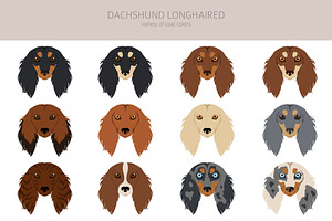 Dachshund Longhaired Clipart