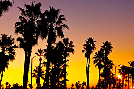 Sunbreak Beach Palms preview 6