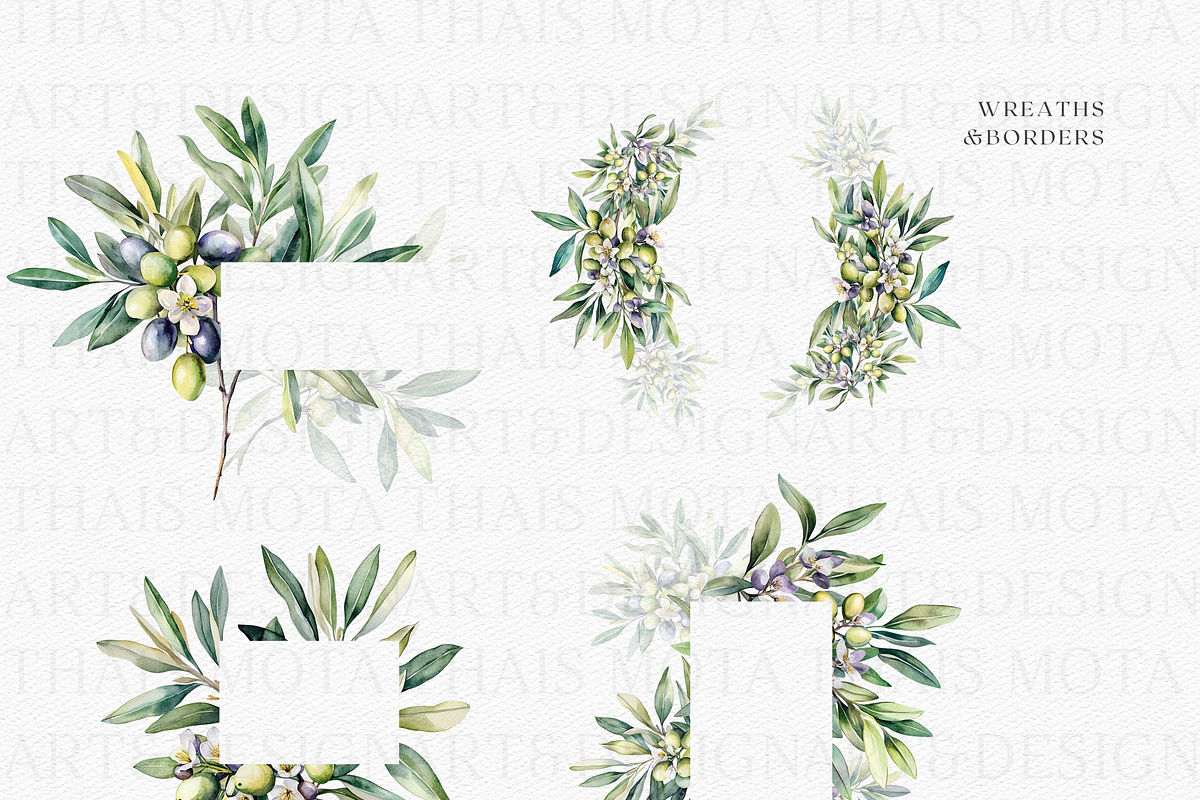 Olive Botanicals – Watercolor, a Decorative Illustration by ThaismotaCreativeCo (Photo 6 of 9)