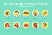 Human Organs Affected by Stress, an Education Illustration by Rekanice (Thumbnail 3 of 3)