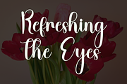 Delightful, a Handwritten Font by InermediaSTUDIO (Thumbnail 7 of 8)