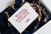 Dream Serif Display, a Serif Font by Types&Toast (Thumbnail 4 of 10)