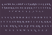 Agradable Sans | Stunning Sans Serif, a Sans Serif Font by MchCrafter (Thumbnail 14 of 15)