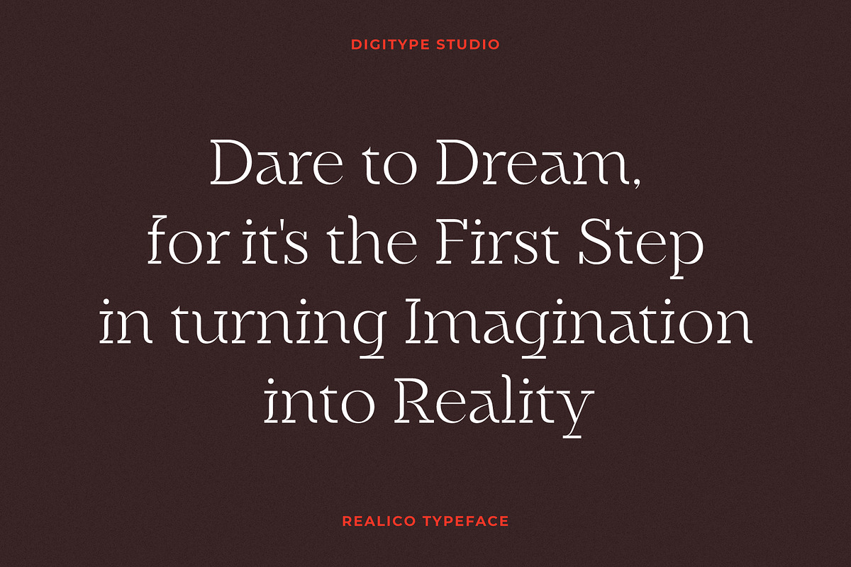 Realico Font, a Font by Digitype Studio (Photo 5 of 10)